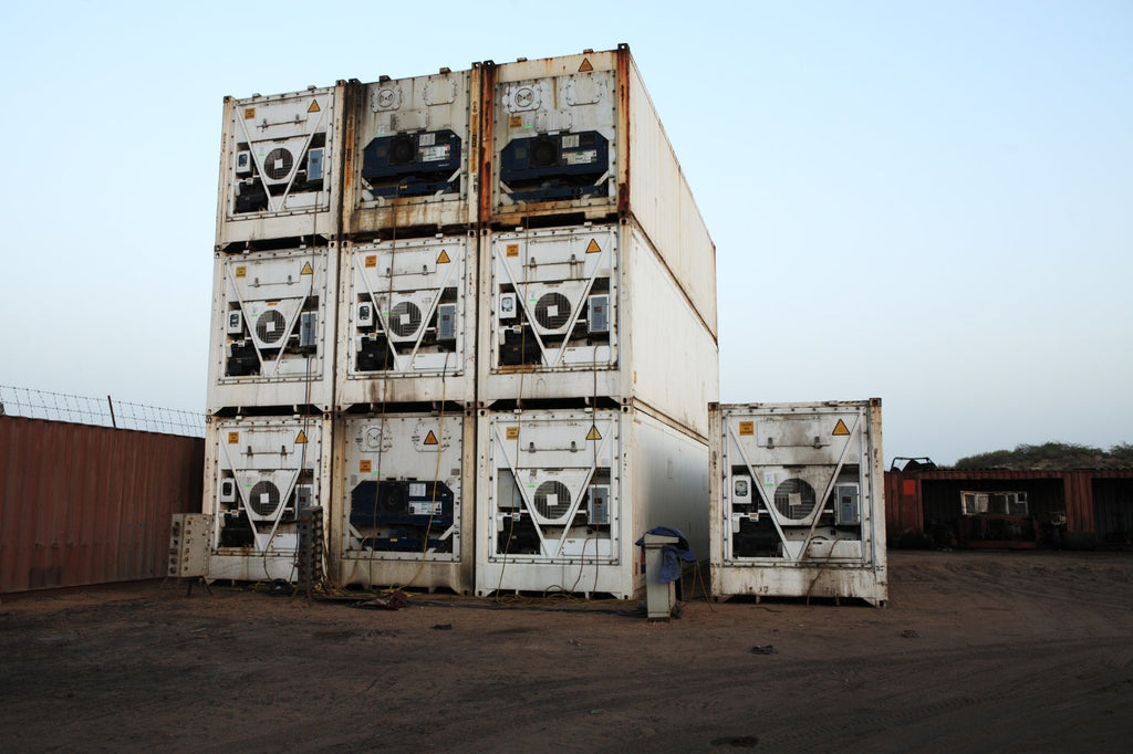 20ft Standard Working Refrigerated Shipping Container (20STRFW)