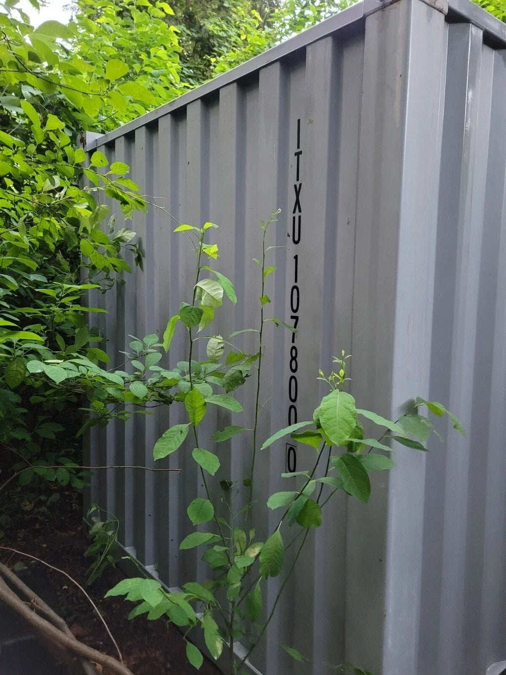 20Ft Steel Shipping Container/Storage Container