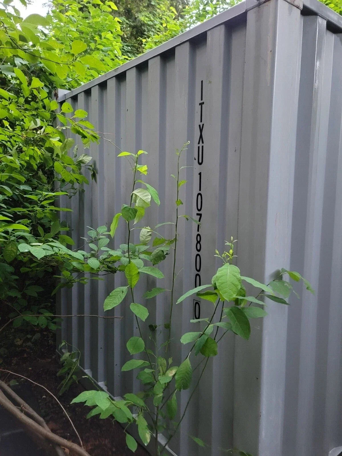 20Ft Steel Shipping Container/Storage Container