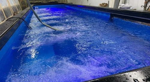 20 Ft Container Pool quantity